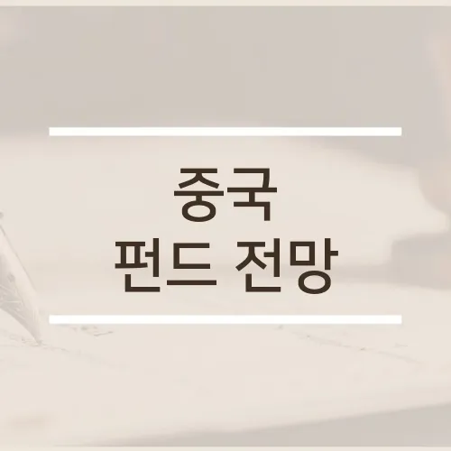 중국 펀드 전망